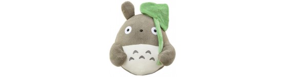   Totoro